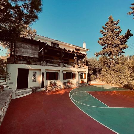 Villa Eleni Sunion Exteriör bild